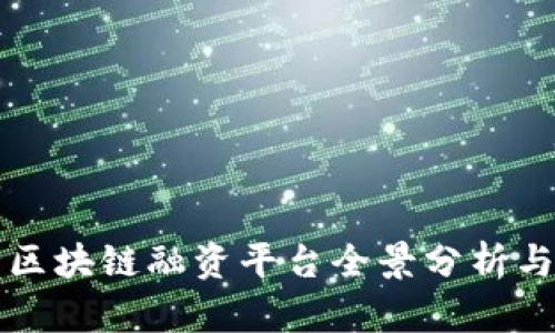 湖北区块链融资平台全景分析与展望