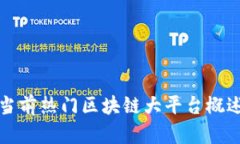 当前热门区块链大平台概述