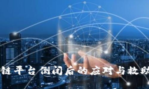 区块链平台倒闭后的应对与救助指南