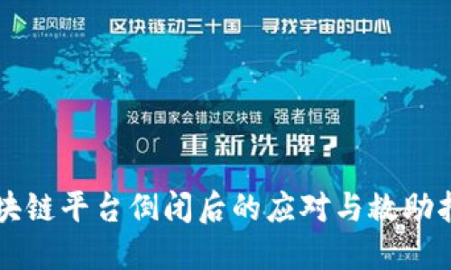 区块链平台倒闭后的应对与救助指南