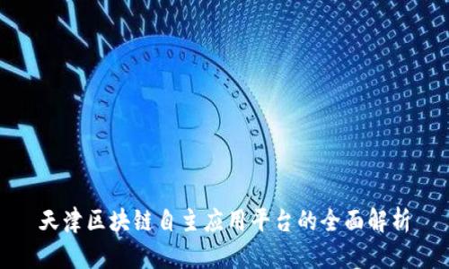 天津区块链自主应用平台的全面解析
