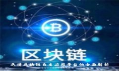 天津区块链自主应用平台的全面解析