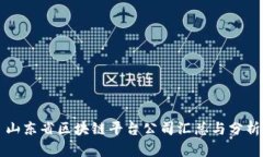 山东省区块链平台公司汇总与分析