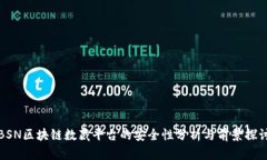 BSN区块链数藏平台的安全性分析与前景探讨