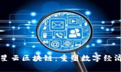 网络平台星云区块链：重塑数字经济的新引擎