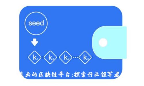 全国最大的区块链平台：探索行业领军者的秘密