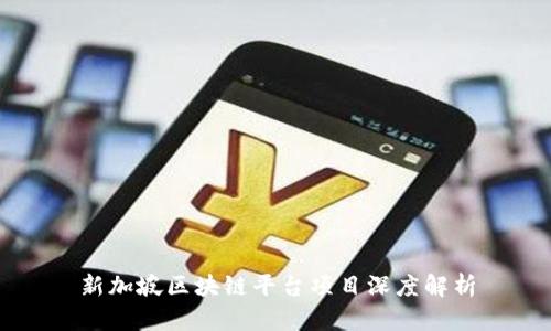 新加坡区块链平台项目深度解析