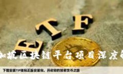 新加坡区块链平台项目深度解析