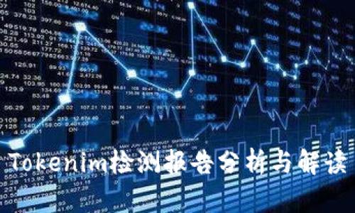 Tokenim检测报告分析与解读