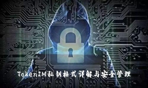 TokenIM私钥格式详解与安全管理