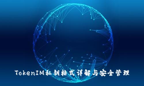TokenIM私钥格式详解与安全管理
