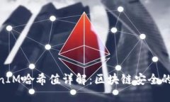 TokenIM哈希值详解：区块链安全的关键