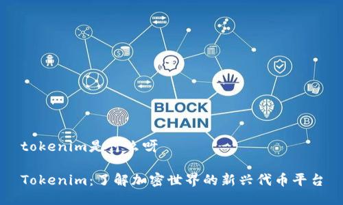 tokenim是什么呀

Tokenim：了解加密世界的新兴代币平台
