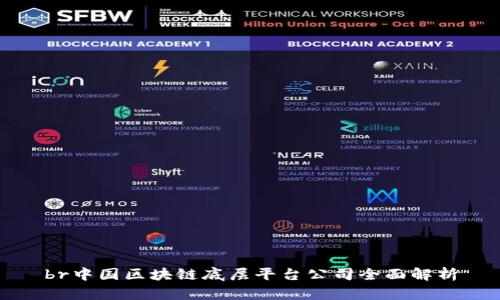 br中国区块链底层平台公司全面解析