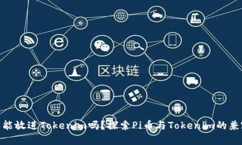 Pi币能放进Tokenim吗？探索Pi币与Tokenim的兼容性
