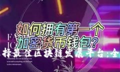 如何选择最佳区块链发展平台：全面指南
