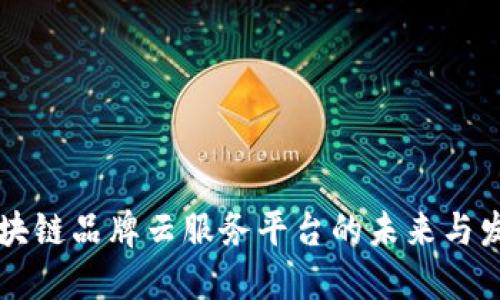 区块链品牌云服务平台的未来与发展