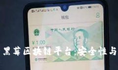深入解析黑莓区块链平台：安全性与应用前景