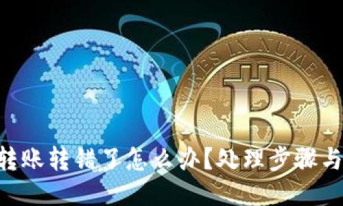 Tokenim转账转错了怎么办？处理步骤与预防措施