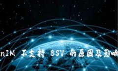 TokenIM 不支持 BSV 的原因及影响分析