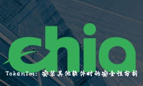 TokenIm: 安装其他软件时的安全性分析