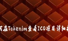 如何在Tokenim查看ICO项目详细指南