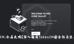 TokenIM：会丢失吗？深入解析TokenIM安全性与使用体