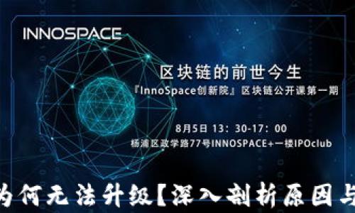 
Tokenim为何无法升级？深入剖析原因与解决方案