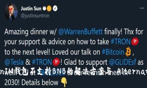 TokenIM钱包不支持BNB的解决方案与 Alternatives