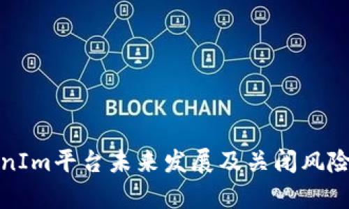TokenIm平台未来发展及关闭风险分析