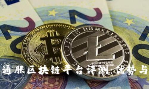 每日通胀区块链平台评测：优势与挑战