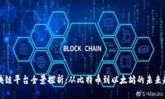 区块链平台全景探析：从比特币到以太坊的未来