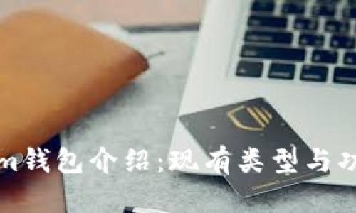Tokenim钱包介绍：现有类型与功能解析