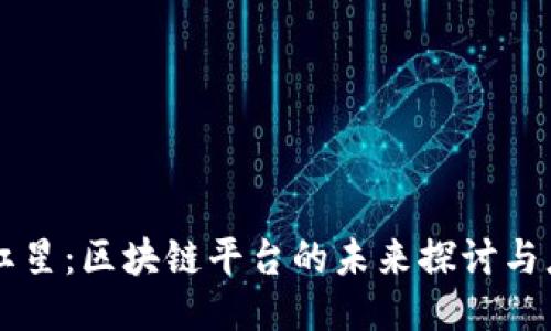 新红星：区块链平台的未来探讨与应用