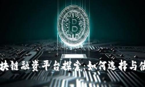 区块链融资平台探索：如何选择与使用