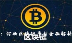 : 河北区块链平台全面解析