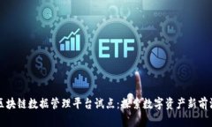 区块链数据管理平台试点：探索数字资产新前沿