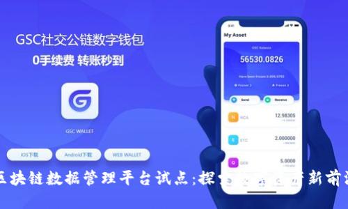 区块链数据管理平台试点：探索数字资产新前沿