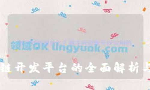 区块链公链开发平台的全面解析与应用展望