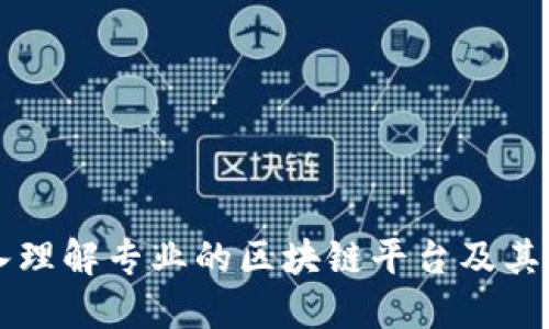 深入理解专业的区块链平台及其应用