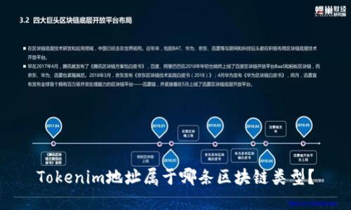 Tokenim地址属于哪条区块链类型？