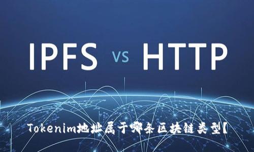 Tokenim地址属于哪条区块链类型？