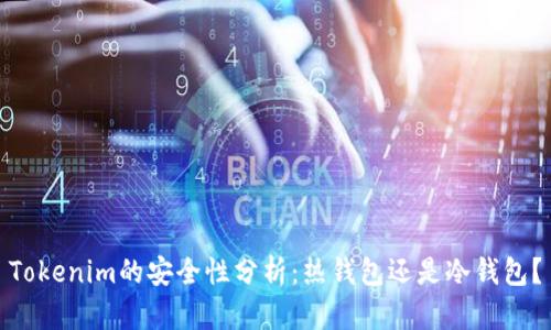 Tokenim的安全性分析：热钱包还是冷钱包？