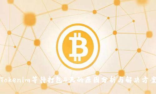 Tokenim等待打包4天的原因分析与解决方案