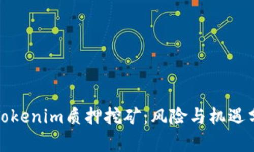 : Tokenim质押挖矿：风险与机遇分析