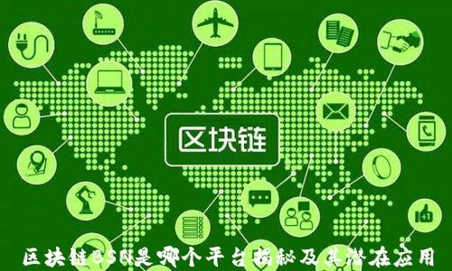 
区块链BSN是哪个平台揭秘及其潜在应用