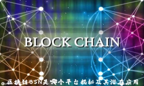 
区块链BSN是哪个平台揭秘及其潜在应用