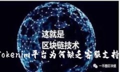 Tokenim平台为何缺乏客服支持？